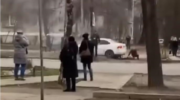 Под Днепром в ДТП погибла двухлетняя девочка — «ДТП»