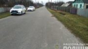 На Житомирщине полицейский сбил человека и покинул место ДТП — «ДТП»